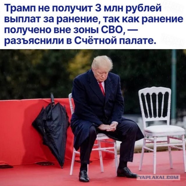 Что в мире говорят по поводу уха