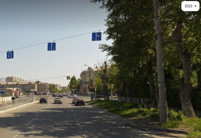 Вот так ученик автошколы узнал, что на дороге кто только не водится