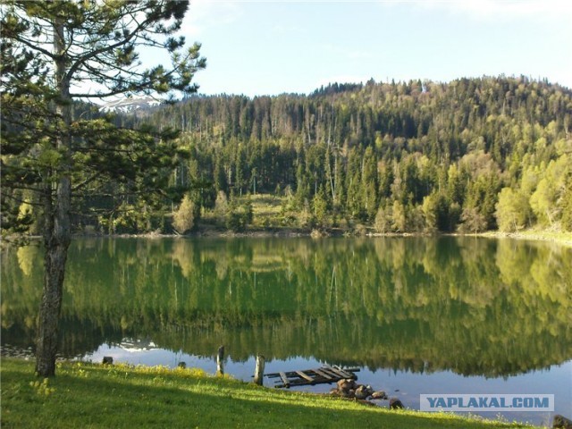 Несколько фото Из Грузии