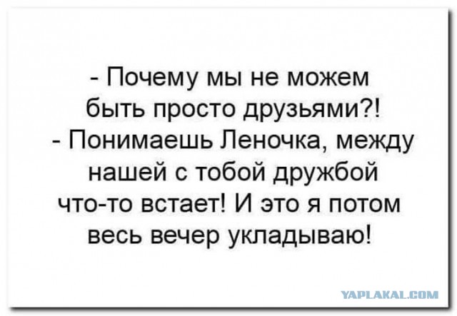 "Мужики - казель!"