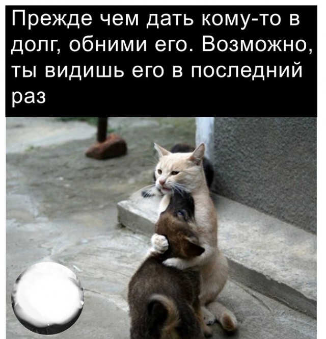 Картинки разные с надписями и без