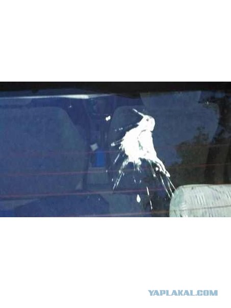 Прошу просветитить