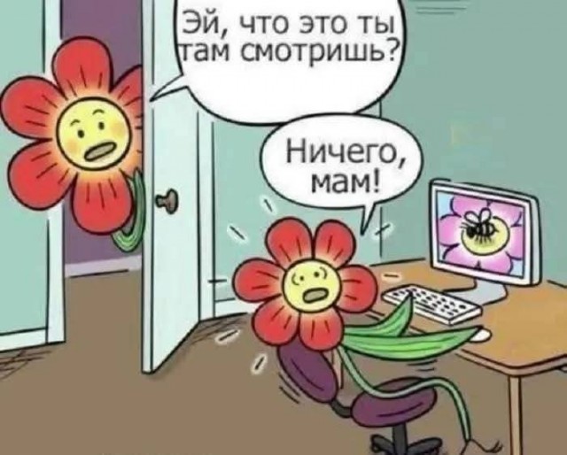 Маленькая пятница 02.07.25