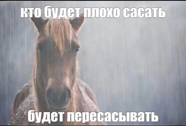 Давно не было....