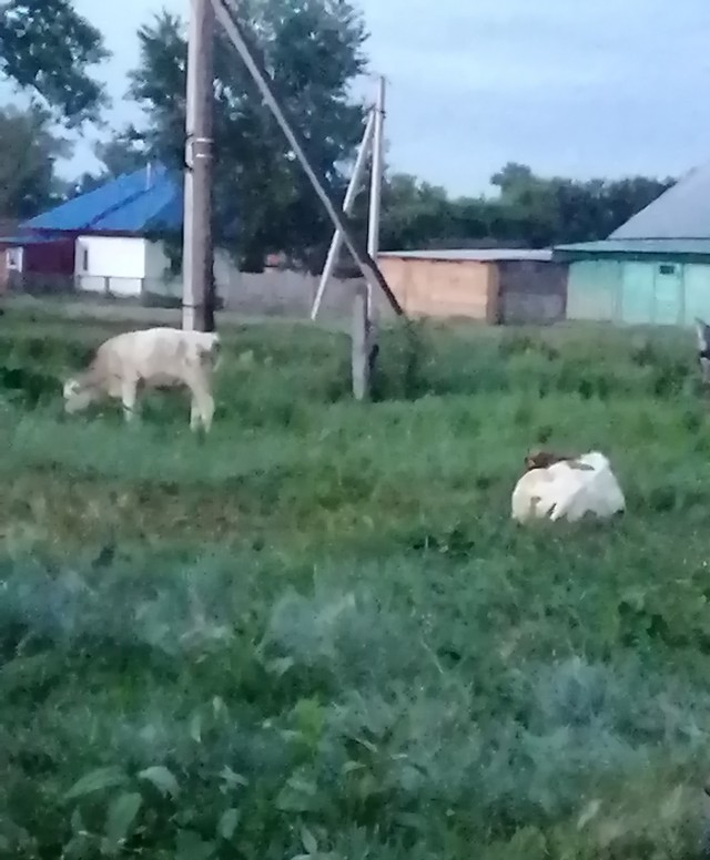 Вы спрашивали зачем такой размер