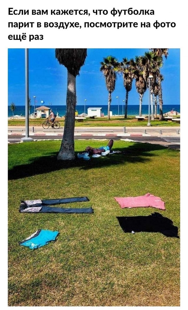 Так себе картинки 11.08.25