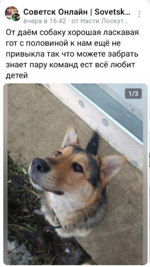 Пятницы картинки