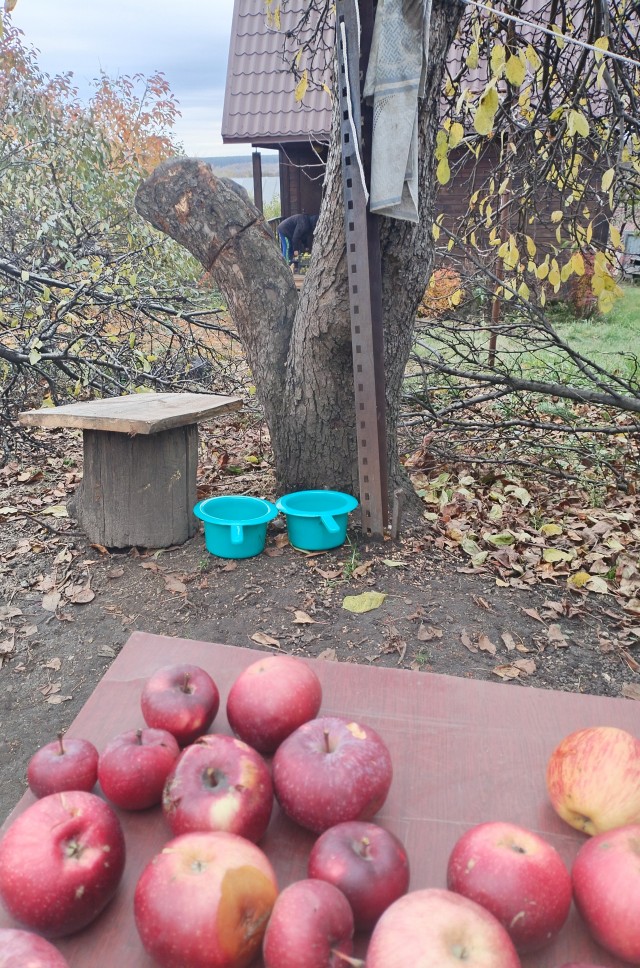 Скорее бы на дачу