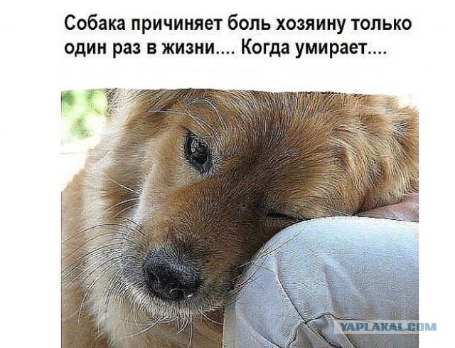 Про настоящее - про дружбу