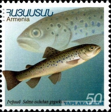 Прощай армянская форель...
