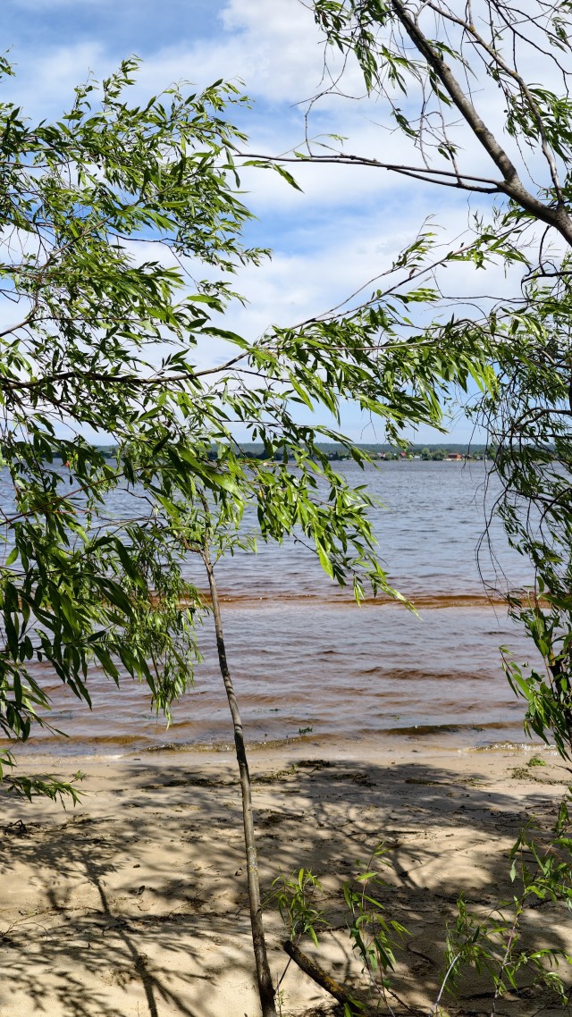 Сплав по Волге, ночевка на острове с пляжем.