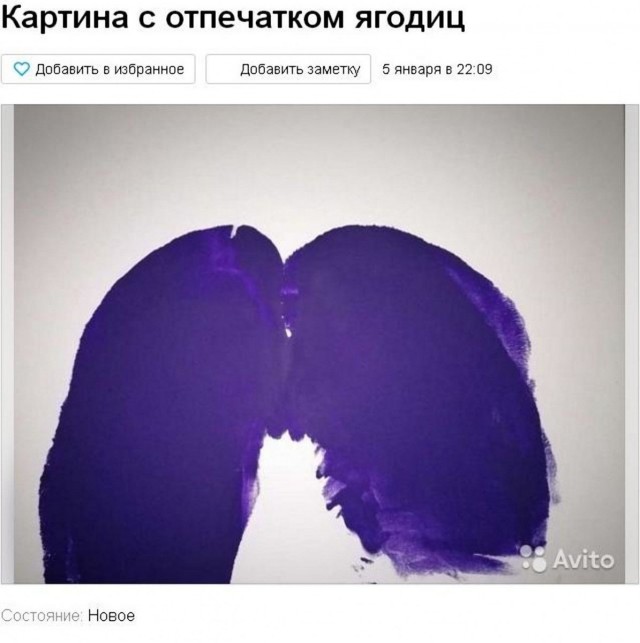 София - россиянка, рисующая картины грудью