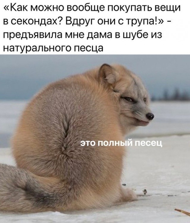 Картинки для деградации 245 (разной степени свежести)