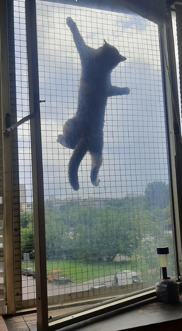 Пенопластовое