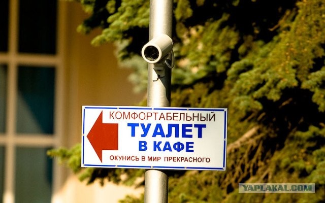 Окунись в мир прекрасного