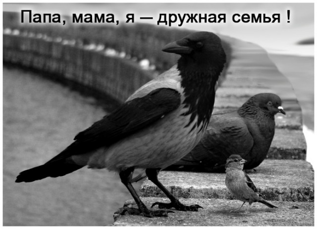 Детские заблуждения