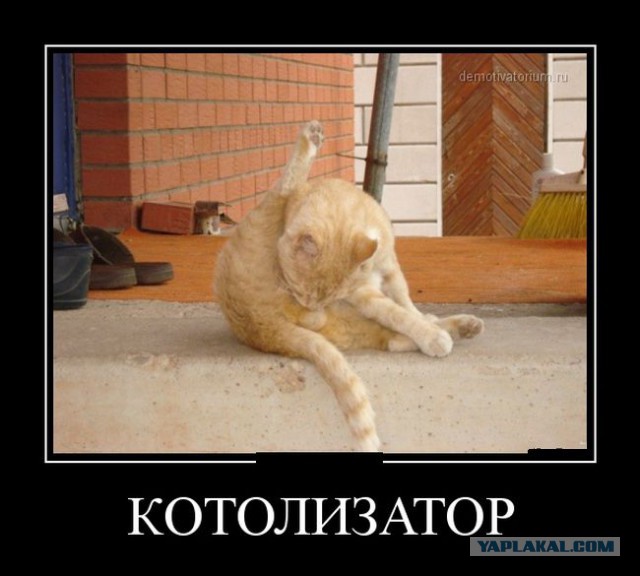 Силовое поле!