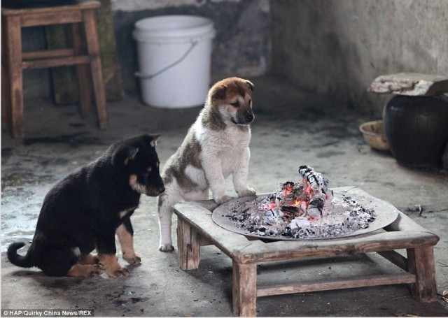 Братья.. давайте зажжем очаг! Погреемся