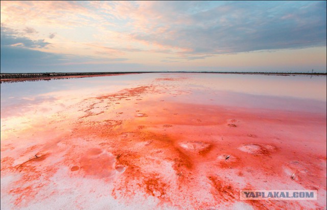 Самая красивая заброшка в мире