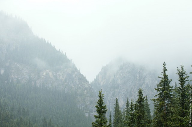 Озеро Каинды - Утонувший лес