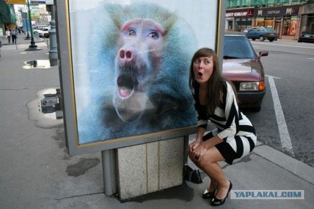 Незатейливый отдых наших сограждан