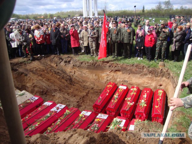 Папы, а давайте о наших детках поговорим?
