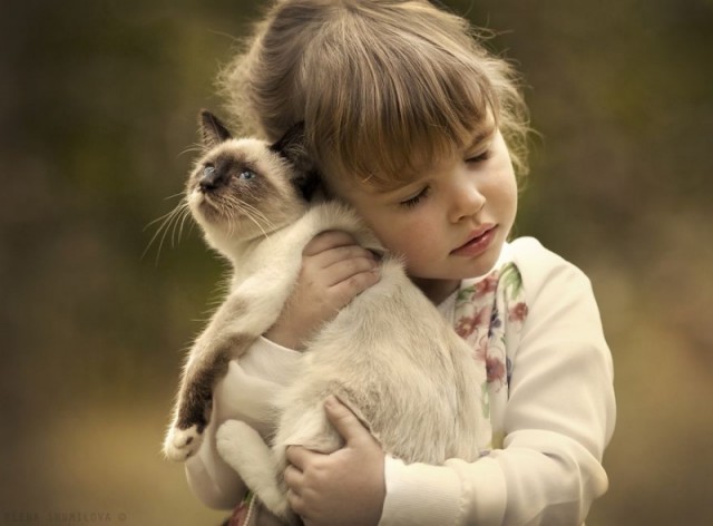 Теплые фотографии о дружбе детей и котов