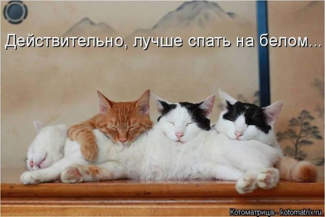 Смешные картинки