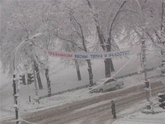 Веселые картинки