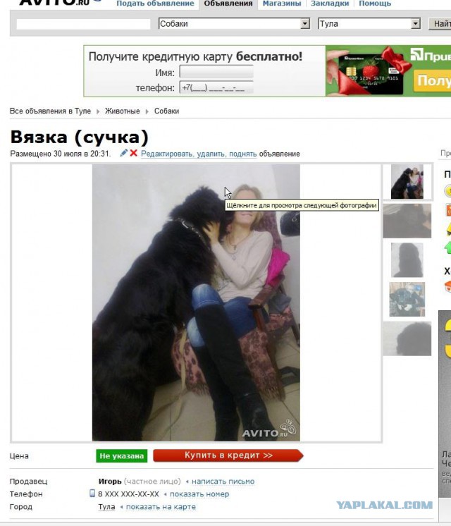 Весёлые картинки