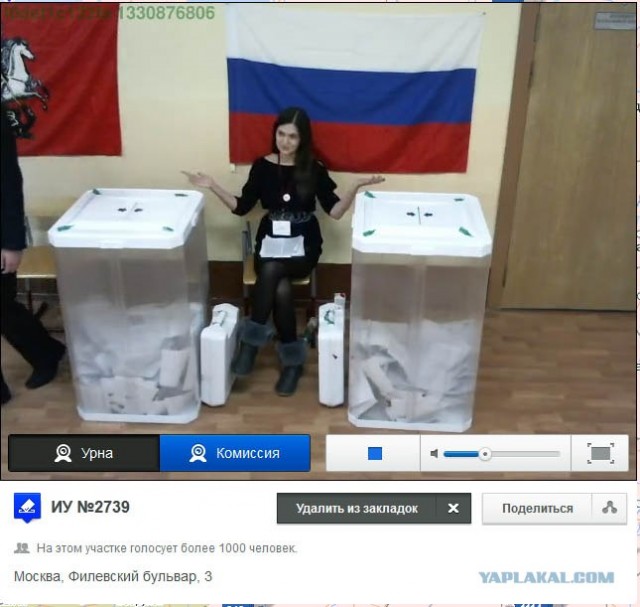 Веб-камеры на избирательных участках