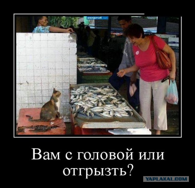 Просто картинки