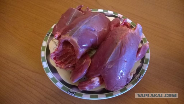 Утка по-Кенигсбергски, Гринпис проходит мимо!