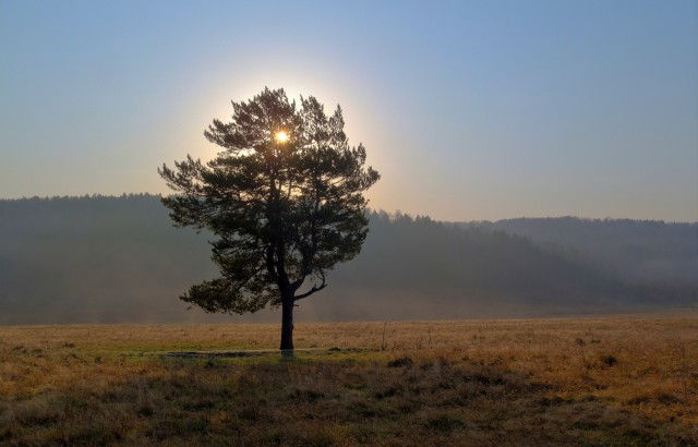 Деревенская Америка