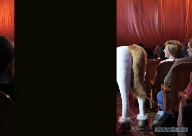 Патриарх Кирилл удостоен премии "Серебряная калоша