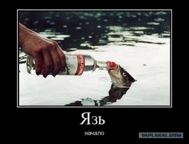 "Поймал мужик рыбку"