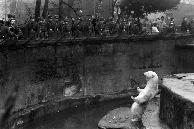 Немного фото