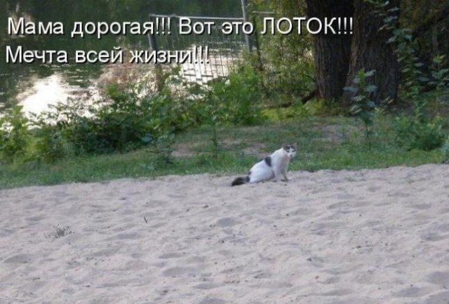 Картинки с сети