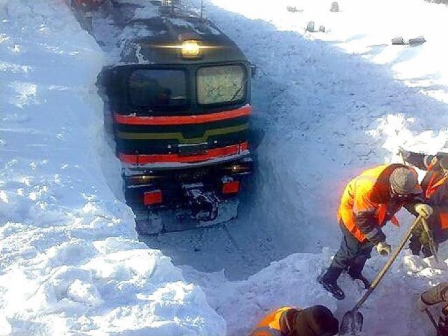 Подборка безудержного веселья
