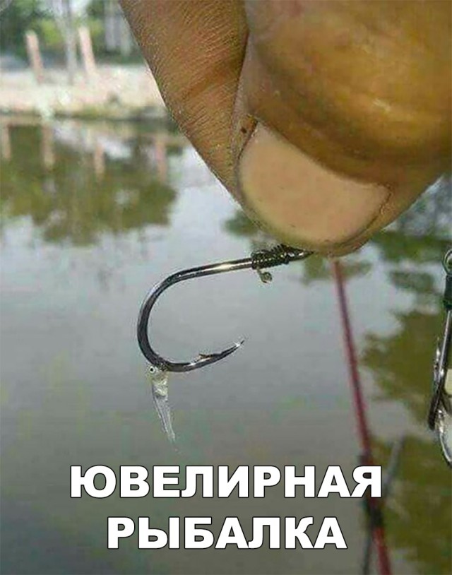 Нестандартный юмор