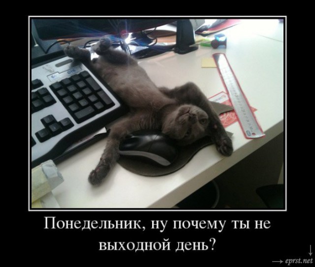 Юмор с ароматом понедельника