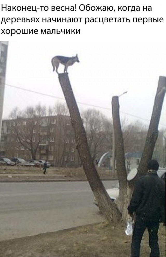 Немного картинок для настроения