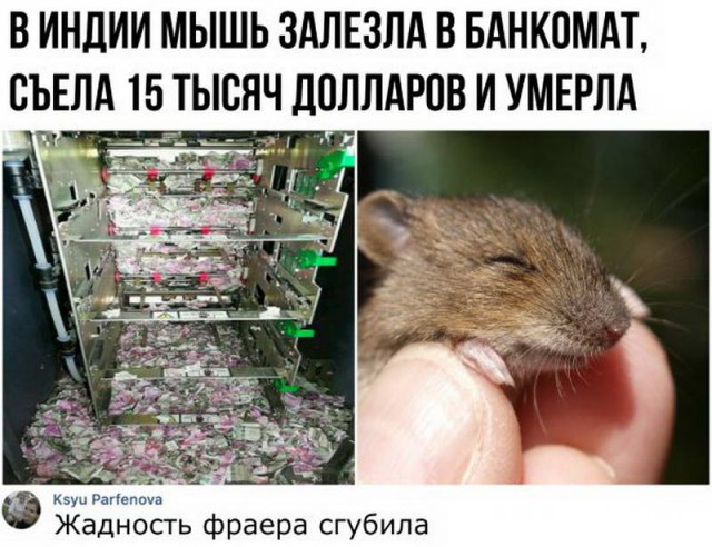 Глоток чёрного воздуха