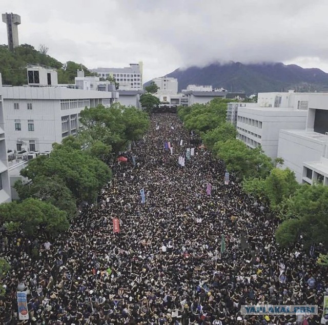 Правительство Гонконга согласилось отозвать законопроект об экстрадиции заключённых и подозреваемых в Китай