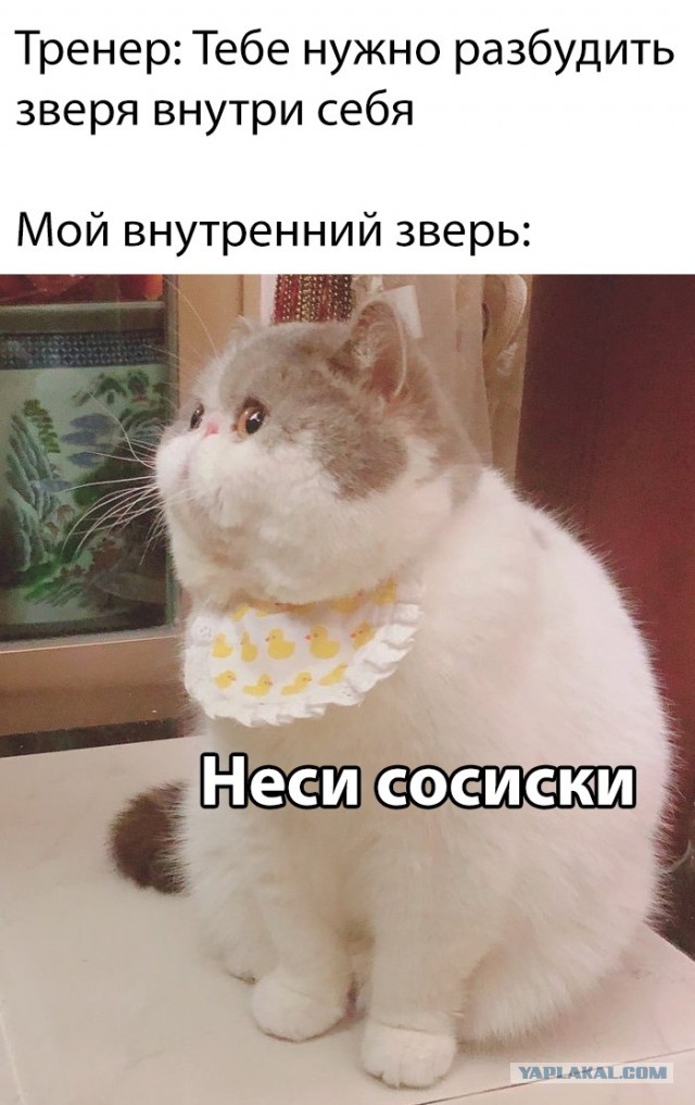 Подборка интересных и веселых картинок 08.10.19