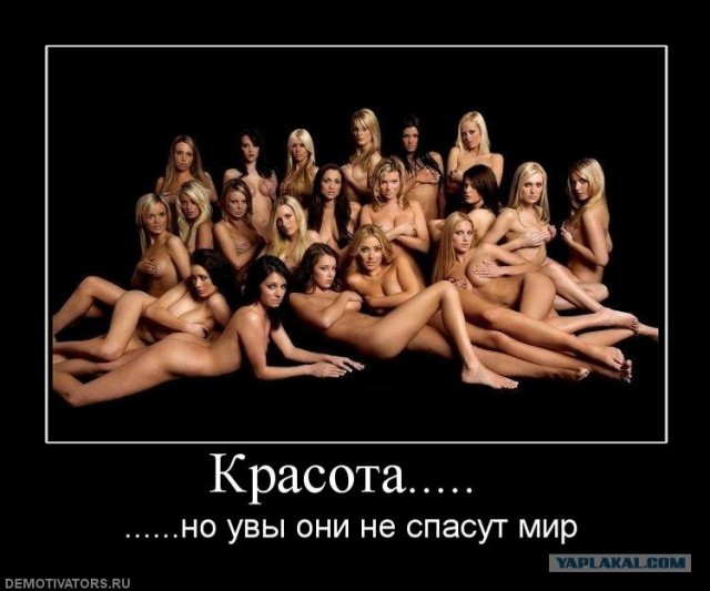нами говоря, по-моему, фистинг компиляция мысль Собственно