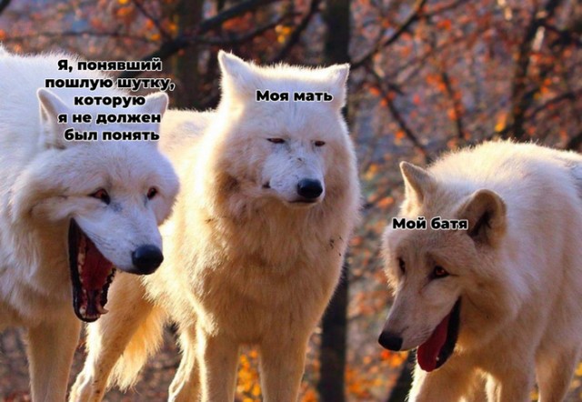 Так себе картинки 07.07.20