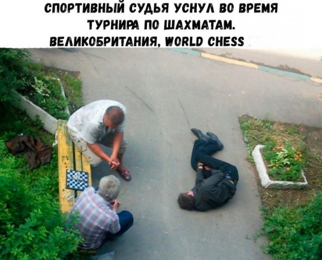 Фотки и картинки: юморные и красивые, забавные и милые 23.09.20