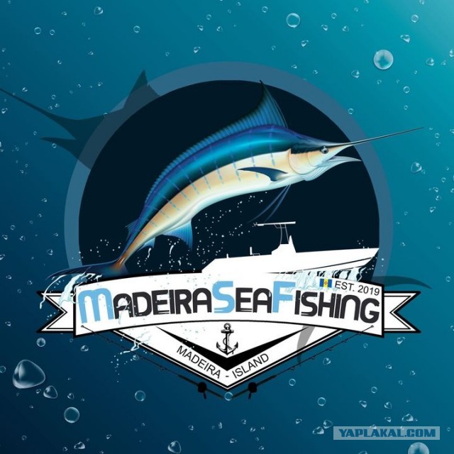 Кулинарная общалка