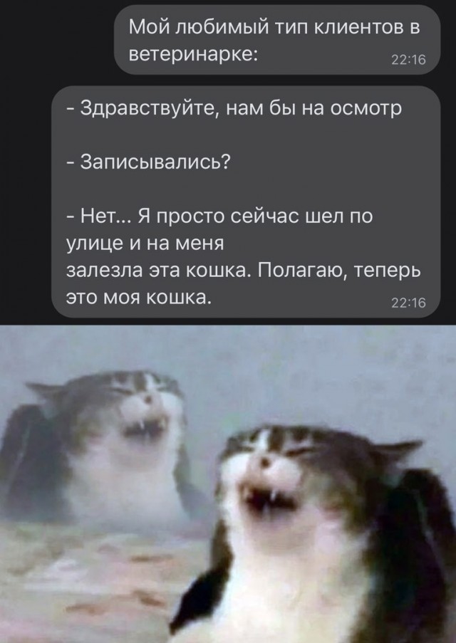 40 картинок разных 20.01.2022